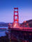 Salut_768